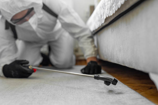 Professional Bed Bug Control technician working in Reliez Valley, CA