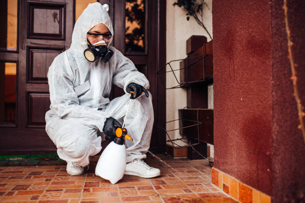 Reliable Bed Bug Control contractor in Reliez Valley, CA by Nex Pest Control